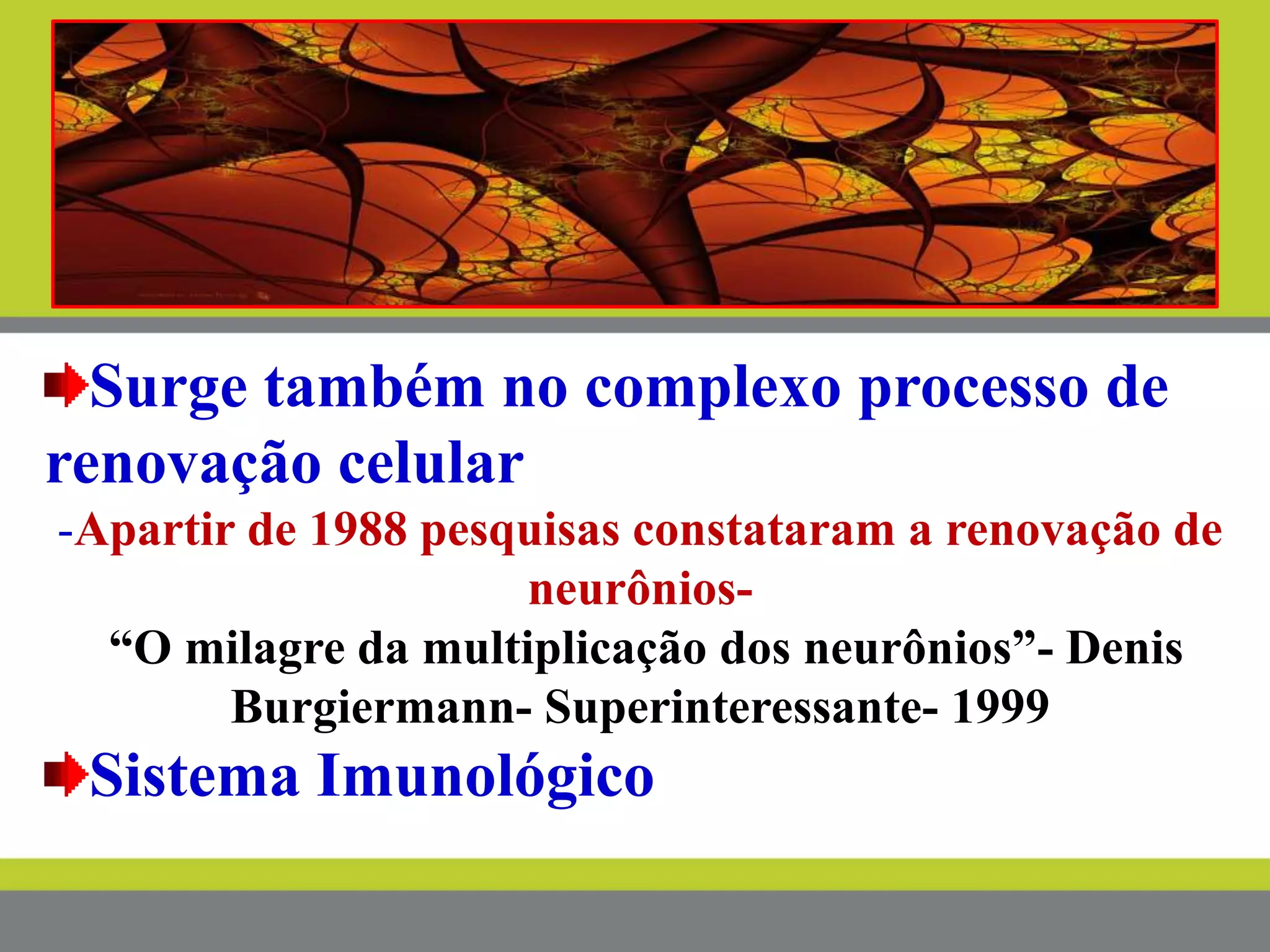 Surge também no complexo processo de
renovação celular
-Apartir de 1988 pesquisas constataram a renovação de
neurônios-
“O milagre da multiplicação dos neurônios”- Denis
Burgiermann- Superinteressante- 1999
Sistema Imunológico
 