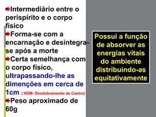 Intermediário entre o
perispírito e o corpo
físico
Forma-se com a
encarnação e desintegra-
se após a morte
Certa semelhança com
o corpo físico,
ultrapassando-lhe as
dimenções em cerca de
1cm ( NDM- Desdobramento de Castro)
Peso aproximado de
60g
Possui a função
de absorver as
energias vitais
do ambiente
distribuindo-as
equitativamente
 