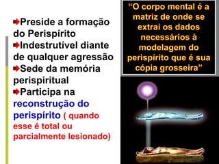 Preside a formação
do Perispírito
Indestrutível diante
de qualquer agressão
Sede da memória
perispiritual
Participa na
reconstrução do
perispírito ( quando
esse é total ou
parcialmente lesionado)
 