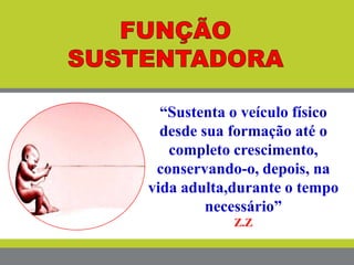 “Sustenta o veículo físico
desde sua formação até o
completo crescimento,
conservando-o, depois, na
vida adulta,durante o tempo
necessário”
Z.Z
 