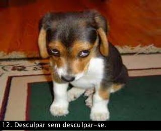 12. Desculpar sem desculpar-se.
 