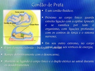 Cordão de Prata
 É um cordão fluídico;

Corpo astral

Cordão de prata

Corpo físico

 Próximo ao corpo físico: guarda
estreita ligação com a epífise (pineal)
e se ramifica por todo o
organismo, com ligações profundas
com os centros de força e o sistema
nervoso;

 Em seu outro extremo, no corpo
astral, se liga
 É um elemento híbrido – biológico + etéreo; aos vórtices de energia;
 Rompe definitivamente com o desencarne;
 Mantém-se ligando o corpo físico e o duplo etérico ao astral durante
os desdobramentos

 