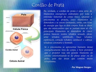 Cordão de Prata
Na verdade, o cordão de prata é uma série de
filamentos energéticos embutidos por toda a
extensão (interna) do corpo físico. Quando o
psicossoma se projeta, esses filamentos se
distendem e se unem formando, então, um feixe
de energia que liga os dois corpos. Pode se dizer
que são minicordões que se juntam num só. Os
principais filamentos se distendem de cinco
pontos básicos: ventre (chakra sexual), plexo
solar (chakra umbilical), baço (chakra
esplênico), coração (chakra cardíaco) e cabeça
(chakras coronário e frontal).
Se o psicossoma se apresentar bastante denso
energeticamente fora do corpo, é bem provável
que o projetor veja um grande filamento do
cordão exteriorizando-se do plexo solar ou do
peito, pois são áreas que contém muito
ectoplasma.
- Por Wagner Borges -

 