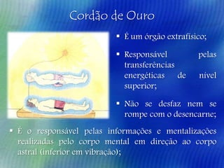 Cordão de Ouro
 É um órgão extrafísico;
 Responsável
transferências
energéticas
de
superior;

pelas
nível

 Não se desfaz nem se
rompe com o desencarne;
 É o responsável pelas informações e mentalizações
realizadas pelo corpo mental em direção ao corpo
astral (inferior em vibração);

 
