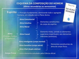 ESQUEMA DA COMPOSIÇÃO DO HOMEM
(Almas secundárias ou aerossomas)

Espírito — Princípio fundamental, dominando todo o agregado
humano, em relação com o Plano divino.
Alma Consciencial

Alma Intuitiva

Elementos constituintes
do corpo do espírito.

Alma Moral

Alma
(Princípio fluídico
e hipefísico)

Alma Causal

Elemento misto, unindo os elementos
superiores (espirituais), aos elementos
inferiores (anímicos).

Alma Inteligente (corpo mental)
Alma Sensitiva (corpo astral)

Elementos constituintes da
alma do corpo físico.

Alma Vital (duplo etérico)

Corpo Físico — único elemento estudado pela Ciência oficial.

 