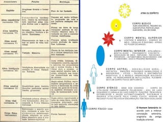 O Homem Setenário de
acordo com a milenar
concepção
setenária,
originária da antiga
tradição oriental.

 
