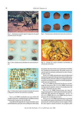 86                                                  A.M.C.R.P.F. Martins et al.




     Fig. 1 - Animal procurando ingerir fragmento de papel           Fig. 2 – Tricobezoares coletados do rumem de um bezerro.
     oriundo de saco de ração.




     Fig. 3 - Fito e Litobezoares coletados do rumem de bezer-       Fig. 4 - Coleção de corpos estranhos encontrados no
     ros.                                                            retículo de um bovino.


                                                                     do apetite não está restrito aos ruminantes mantidos
                                                                     em condição de domesticação. Ela pode ocorrer em
                                                                     outras espécies animais,ruminantes ou não e domes-
                                                                     ticadas ou não.
                                                                         BARRS et al. (1999) assinalaram casos de obstrução
                                                                     intestinal em gatos devido à presença de tricobezoares.
                                                                     O hábito desses animais realizarem a higienização de
                                                                     seu pêlo com a língua, constitui-se em fator preponde-
                                                                     rante para tal ocorrência.
                                                                         DAS et al. (1999) encontraram tricobezoar no estô-
                                                                     mago de uma porca. WILLIAM et al. (2000) removeram
                                                                     cirurgicamente grande número de tricobezoares do
                                                                     rúmem e abomaso de uma cabra.
                                                                         KELLAM et al. (2000) descreveram um caso de
     Fig. 5 - Coleção dos corpos estranhos retirados do rumem
     e dispostos conforme sua natureza e tamanho.                    impactação gástrica e obstrução intestinal em eqüino,
                                                                     motivada pela presença de fitobezoar. SHAKILA &
                                                                     DEVASENA (2000) e KUMAR et al. (2000) descreveram a
         VEENA et al. (2001) estudando um caso crônico de            presença de trocobezoar em cervo.
     vômito em bovino, constataram que o problema estava                 WAKAMATSU et al. (2001) assinalaram a ocorrência
     relacionado à presença de tricobezoar.                          de complicações gastrointestinais em 24 coelhos pela
         O problema da ingestão de corpos estranhos, quer            presença de concreções pilosas nesses órgãos. O fato
     acidentalmente, quer por uma condição de aberração              de essa espécie animal arrancar seu próprio pelo


                                   Arq. Inst. Biol., São Paulo, v.71, n.1, p.83-87, jan./mar., 2004
 
