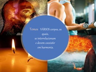 Temos VÁRIOS corpos, os
quais,
se interrelacionam
e devem coexistir
em harmonia.
 