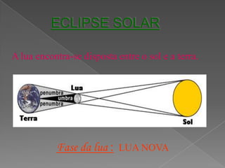 Corpos Transparentes   Experiencias Com A Luz