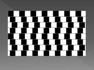 Corpos Transparentes   Experiencias Com A Luz