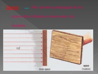 Corpos Transparentes   Experiencias Com A Luz