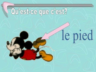 Qu'est-ce que c'est? le pied 
