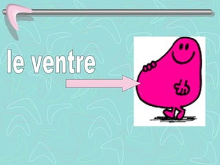le ventre 