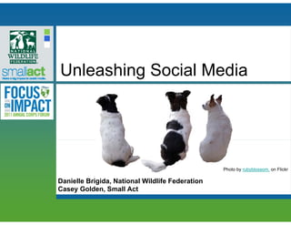 Unleashing Social Media




                                                 Photo by rubyblossom. on Flickr

Danielle Brigida, National Wildlife Federation
Casey Golden, Small Act
 