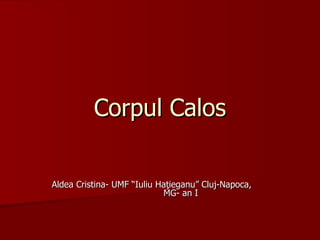 Corpul Calos Aldea Cristina- UMF “Iuliu Haţieganu” Cluj-Napoca,  MG- an I 