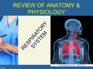 REVIEW OF ANATOMY &
    PHYSIOLOGY
 