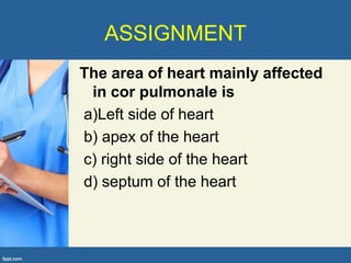 ASSIGNMENT
The area of heart mainly affected
 in cor pulmonale is
a)Left side of heart
b) apex of the heart
c) right side of the heart
d) septum of the heart
 