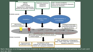 Raúl J. Bevacqua et al Antagonistas de los receptores de la endotelina para la hipertensión arterial pulmonar Insuf. card. vol.8
no.2 jun. 2013
 