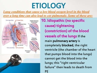 Lung conditions that cause a low blood oxygen level in the blood
over a long time can also lead to cor pulmonale. Some of these are:
10. Idiopathic (no specific
cause) tightening
(constriction) of the blood
vessels of the lungs If the
main pulmonary artery is
completely blocked, the right
ventricle (the chamber of the heart
that pumps blood into the lungs)
cannot get the blood into the
lungs; this “right ventricular
failure” then leads to death from
PE
ETIOLOGY
 