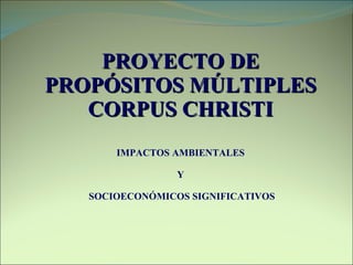 PROYECTO DE PROPÓSITOS MÚLTIPLES CORPUS CHRISTI IMPACTOS AMBIENTALES  Y  SOCIOECONÓMICOS SIGNIFICATIVOS 