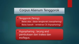 Corpus Alienum Tenggorok
 Hypopharing : laryng and
pembukaan dari trakea dan
esofagus.
 Tenggorok (faring):
 Batas atas : dasar tengkorak (nasopharing)
 Batas bawah : vertebrae C6 (hipopharing)
 