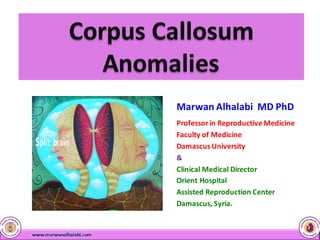 Marwan	Alhalabi		MD	PhD
Professor	in	Reproductive	Medicine	
Faculty	of	Medicine	
Damascus	University
&
Clinical	Medical	Director	
Orient	Hospital	
Assisted	Reproduction	Center	
Damascus,	Syria.
 