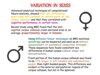 VARIATION IN SEXES
Advanced analytical techniques of computational
Neuro-anatomy, showed that sex differences
were clear but confined to certain parts of the
corpus callosum, and that they correlated with
cognitive performance in certain tests.
Recent study using MRI found that the mid-
sagittal corpus callosum cross-sectional area is, on
average, proportionately larger in females.
Using diffusion tensor techniques on MRI machines
anisotropy can be measured and used as an indirect
measurement of anatomical connection strength.
These sequences have found consistent sex
differences in human corpus callosal shape and
microstructure.
Front portion of the human corpus callosum was found
to be 11% larger in left handed and ambidextrous
people than right-handed people. This difference was
evident in the anterior and posterior regions of the
corpus callosum, but not in the splenium.
 