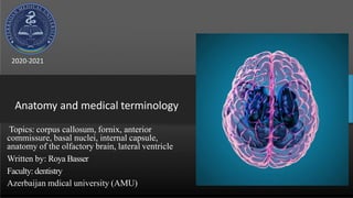 Anatomy and medical terminology
Topics: corpus callosum, fornix, anterior
commissure, basal nuclei, internal capsule,
anatomy of the olfactory brain, lateral ventricle
Written by: Roya Basser
Faculty: dentistry
Azerbaijan mdical university (AMU)
2020-2021
 