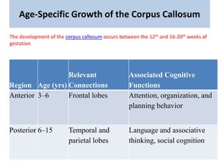 Age-Specific Growth of the Corpus Callosum
Region Age (yrs)
Relevant
Connections
Associated Cognitive
Functions
Anterior 3–6 Frontal lobes Attention, organization, and
planning behavior
Posterior 6–15 Temporal and
parietal lobes
Language and associative
thinking, social cognition
The development of the corpus callosum occurs between the 12th and 16-20th weeks of
gestation
 