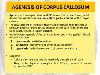 AGENESIS OF CORPUS CALLOSUM
• Agenesis of the corpus callosum (ACC) is a rare birth defect (congenital
disorder) in which there is a complete or partial absence of the corpus
callosum.
• The development of the fibers that would otherwise form the corpus
callosum become longitudinally oriented within each hemisphere and
form structures called Probst bundles.
• In addition to agenesis of the corpus callosum, other congenital callosal
disorders include
1. hypogenesis (partial formation),
2. dysgenesis (malformation) of the corpus callosum,
3. hypoplasia (underdevelopment) of the corpus callosum.
• Diagnosis
– Callosal disorders can be diagnosed only through a brain scan
– They may be diagnosed through an MRI, CT scan, prenatal ultrasound,
or prenatal MRI
 