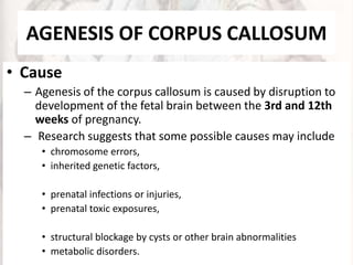 AGENESIS OF CORPUS CALLOSUM
• Cause
– Agenesis of the corpus callosum is caused by disruption to
development of the fetal brain between the 3rd and 12th
weeks of pregnancy.
– Research suggests that some possible causes may include
• chromosome errors,
• inherited genetic factors,
• prenatal infections or injuries,
• prenatal toxic exposures,
• structural blockage by cysts or other brain abnormalities
• metabolic disorders.
 