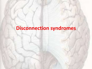 Disconnection syndromes
 