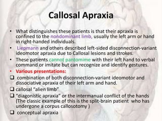 Callosal Apraxia
• What distinguishes these patients is that their apraxia is
confined to the nondominant limb, usually the left arm or hand
in right-handed individuals.
• Liepmann and others described left-sided disconnection-variant
ideomotor apraxia due to Callosal lesions and strokes.
• These patients cannot pantomime with their left hand to verbal
command or imitate but can recognize and identify gestures.
• Various presentations:
 combination of both disconnection-variant ideomotor and
dissociative apraxia of their left arm and hand.
 callosal “alien limb”
 “diagonistic apraxia” or the intermanual conflict of the hands
(The classic example of this is the split-brain patient who has
undergone a corpus callosotomy )
 conceptual apraxia
 