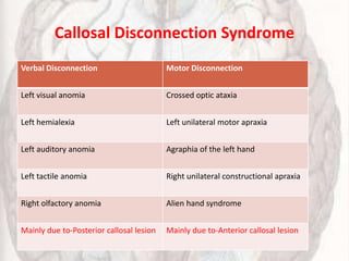 Callosal Disconnection Syndrome
Verbal Disconnection Motor Disconnection
Left visual anomia Crossed optic ataxia
Left hemialexia Left unilateral motor apraxia
Left auditory anomia Agraphia of the left hand
Left tactile anomia Right unilateral constructional apraxia
Right olfactory anomia Alien hand syndrome
Mainly due to-Posterior callosal lesion Mainly due to-Anterior callosal lesion
 