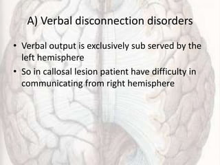 A) Verbal disconnection disorders
• Verbal output is exclusively sub served by the
left hemisphere
• So in callosal lesion patient have difficulty in
communicating from right hemisphere
 