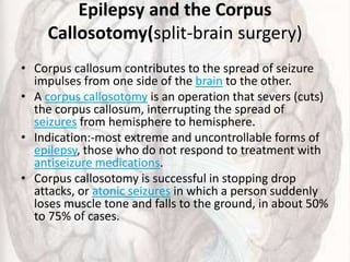 Epilepsy and the Corpus
Callosotomy(split-brain surgery)
• Corpus callosum contributes to the spread of seizure
impulses from one side of the brain to the other.
• A corpus callosotomy is an operation that severs (cuts)
the corpus callosum, interrupting the spread of
seizures from hemisphere to hemisphere.
• Indication:-most extreme and uncontrollable forms of
epilepsy, those who do not respond to treatment with
antiseizure medications.
• Corpus callosotomy is successful in stopping drop
attacks, or atonic seizures in which a person suddenly
loses muscle tone and falls to the ground, in about 50%
to 75% of cases.
 