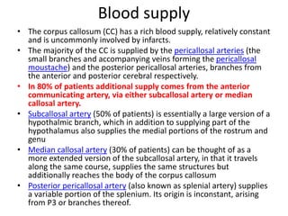 Blood supply
• The corpus callosum (CC) has a rich blood supply, relatively constant
and is uncommonly involved by infarcts.
• The majority of the CC is supplied by the pericallosal arteries (the
small branches and accompanying veins forming the pericallosal
moustache) and the posterior pericallosal arteries, branches from
the anterior and posterior cerebral respectively.
• In 80% of patients additional supply comes from the anterior
communicating artery, via either subcallosal artery or median
callosal artery.
• Subcallosal artery (50% of patients) is essentially a large version of a
hypothalmic branch, which in addition to supplying part of the
hypothalamus also supplies the medial portions of the rostrum and
genu
• Median callosal artery (30% of patients) can be thought of as a
more extended version of the subcallosal artery, in that it travels
along the same course, supplies the same structures but
additionally reaches the body of the corpus callosum
• Posterior pericallosal artery (also known as splenial artery) supplies
a variable portion of the splenium. Its origin is inconstant, arising
from P3 or branches thereof.
 