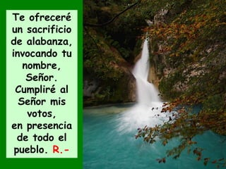 Te ofreceré
un sacrificio
de alabanza,
invocando tu
nombre,
Señor.
Cumpliré al
Señor mis
votos,
en presencia
de todo el
pueblo. R.-
 
