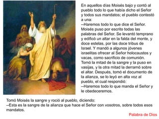 En aquellos días Moisés bajo y contó al
pueblo todo lo que había dicho el Señor
y todos sus mandatos; el pueblo contestó
a una:
--Haremos todo lo que dice el Señor.
Moisés puso por escrito todas las
palabras del Señor. Se levantó temprano
y edificó un altar en la falda del monte, y
doce estelas, por las doce tribus de
Israel. Y mandó a algunos jóvenes
israelitas ofrecer al Señor holocaustos y
vacas, como sacrificio de comunión.
Tomó la mitad de la sangre y la puso en
vasijas, y la otra mitad la derramó sobre
el altar. Después, tomó el documento de
la alianza, se lo leyó en alta voz al
pueblo, el cual respondió:
--Haremos todo lo que manda el Señor y
le obedeceremos.
Tomó Moisés la sangre y roció al pueblo, diciendo:
--Esta es la sangre de la alianza que hace el Señor con vosotros, sobre todos esos
mandatos.
Palabra de Dios
 