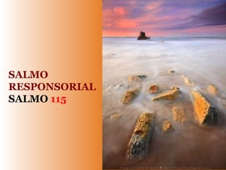 SALMO
RESPONSORIAL
SALMO 115
 