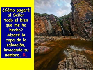 ¿Cómo pagaré
al Señor
todo el bien
que me ha
hecho?
Alzaré la
copa de la
salvación,
invocando su
nombre. R.
 
