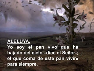 ALELUYA.
Yo soy el pan vivo que ha
bajado del cielo –dice el Señor-;
el que coma de este pan vivirá
para siempre.
 