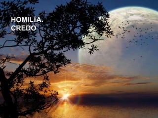 La roca
HOMILÍA.
CREDO.
 