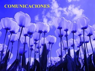 COMUNICACIONES
 