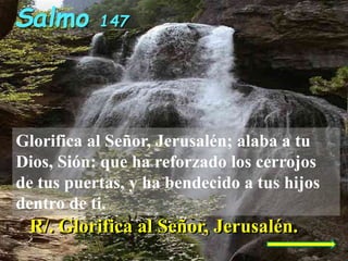 Glorifica al Señor, Jerusalén; alaba a tu
Dios, Sión: que ha reforzado los cerrojos
de tus puertas, y ha bendecido a tus h...