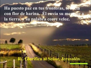 Ha puesto paz en tus fronteras, te sacia
con flor de harina. Él envía su mensaje a
la tierra, y su palabra corre veloz.
R/...