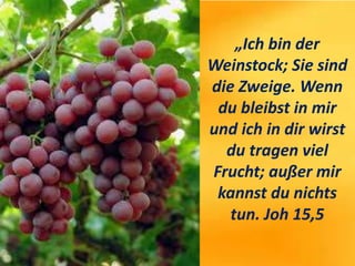 „Ich bin der
Weinstock; Sie sind
die Zweige. Wenn
du bleibst in mir
und ich in dir wirst
du tragen viel
Frucht; außer mir
kannst du nichts
tun. Joh 15,5
 