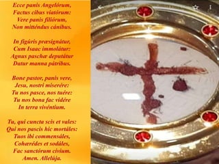 Ecce panis Angelórum,
Factus cibus viatórum:
Vere panis filiórum,
Non mitténdus cánibus.
In figúris præsignátur,
Cum Isaac immolátur:
Agnus paschæ deputátur
Datur manna pátribus.
Bone pastor, panis vere,
Jesu, nostri miserére:
Tu nos pasce, nos tuére:
Tu nos bona fac vidére
In terra vivéntium.
Tu, qui cuncta scis et vales:
Qui nos pascis hic mortáles:
Tuos ibi commensáles,
Cohærédes et sodáles,
Fac sanctórum cívium.
Amen. Allelúja.
 