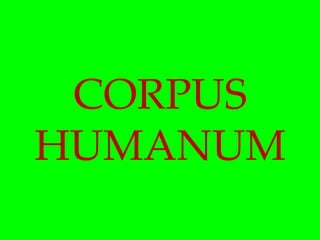 CORPUS
HUMANUM

 