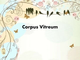 Corpus Vitreum
 